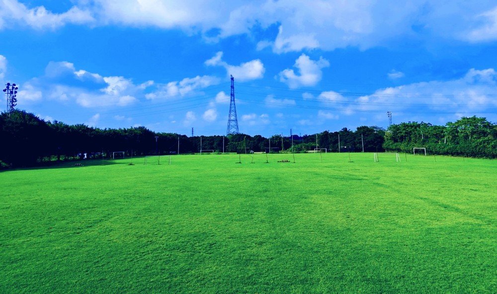 场地环境