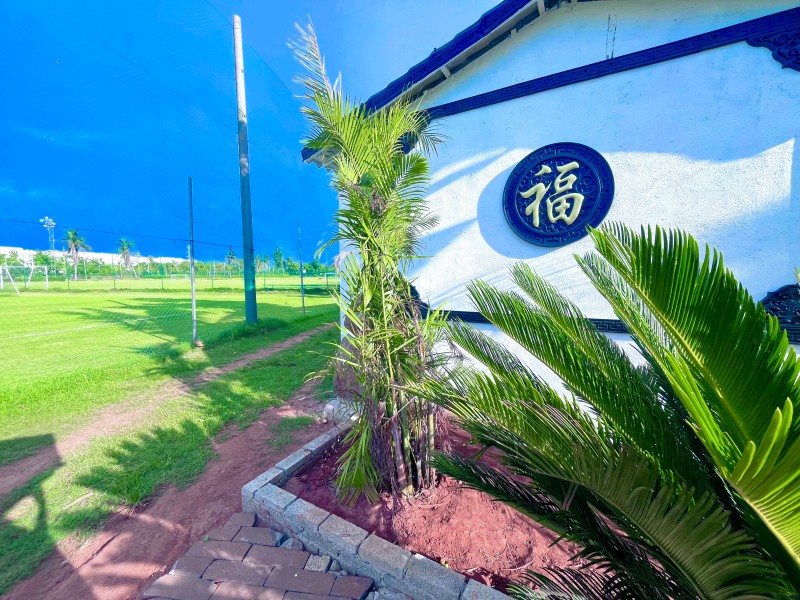 经济优选